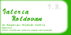 valeria moldovan business card